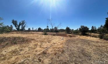 1616 Nelson Lane, Paradise, California 95969, ,Land,Buy,1616 Nelson Lane,SN24186799