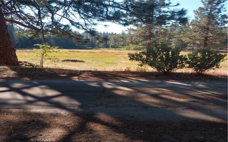 Meadow View from Driveway