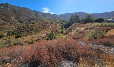 0 Bodkin, Lake Elsinore, California 92530, ,Land,Buy,0 Bodkin,SW24177165