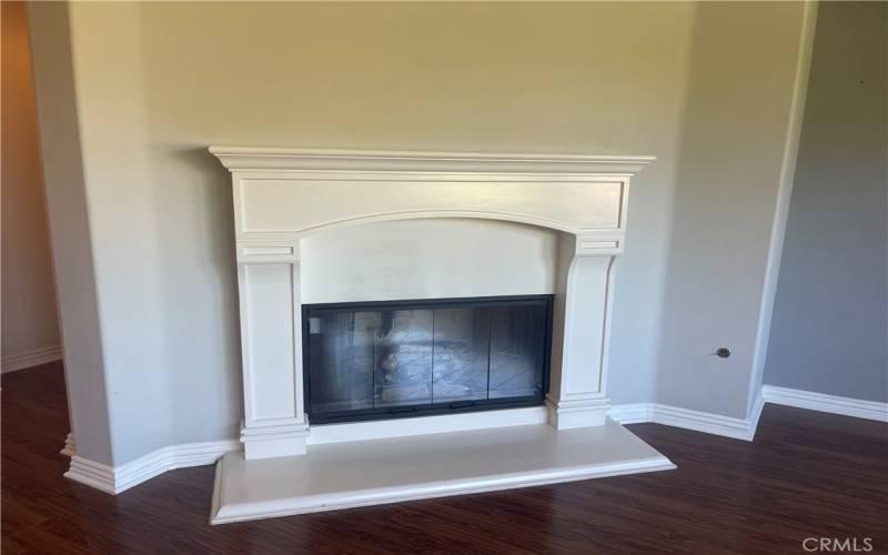 Fireplace in the living room