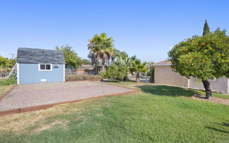 Large Yard with Sheds