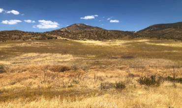 22522 Jerusalem Grade, Lower Lake, California 95457, ,Land,Buy,22522 Jerusalem Grade,LC24187035