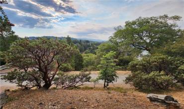 0 Evergreen Lane, Lake Arrowhead, California 92352, ,Land,Buy,0 Evergreen Lane,RW24187001