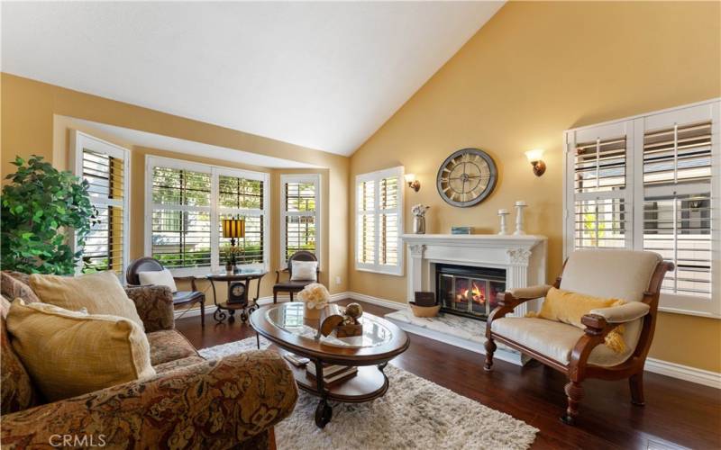 Beautiful living room. Bay windows overlook the pathway. Windows on either side of the fireplace overlooks the patio.