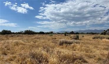 0 White Fox Trail, Phelan, California 92371, ,Land,Buy,0 White Fox Trail,HD24187133