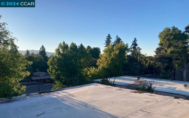 Serene Views from this Rooftop Deck