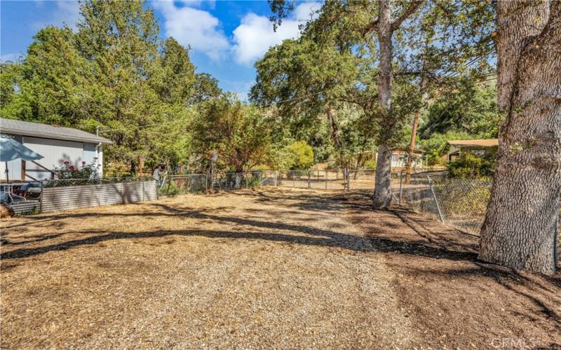 Large Yard with Gated Entrance