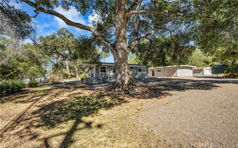 Large Yard with Mature  Shade Trees