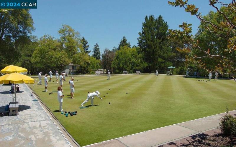 Lawn Bowling