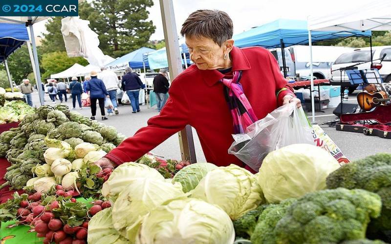 Friday Farmer's Market