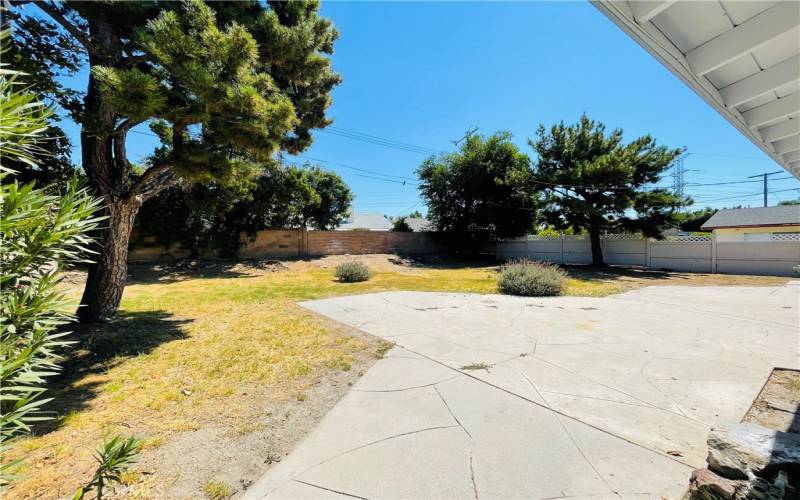 Back Yard & Patio