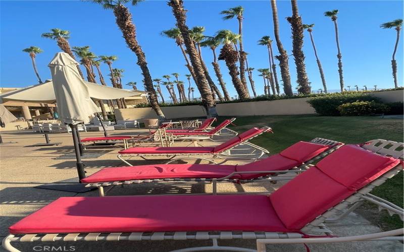 Chaise loungers throughout Clubhouses Olympic Pool