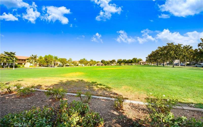 Expansive and large greenbelt area in Founder's Park.