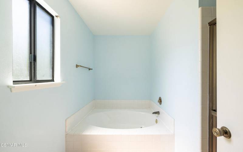 651 Glencliff Cir. - Primary bathtub