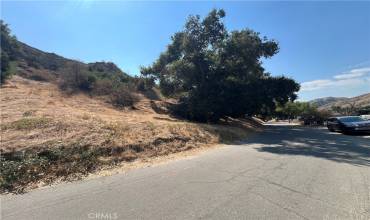 29210 Sheridan Rd, Val Verde, California 91384, ,Land,Buy,29210 Sheridan Rd,SW24185115