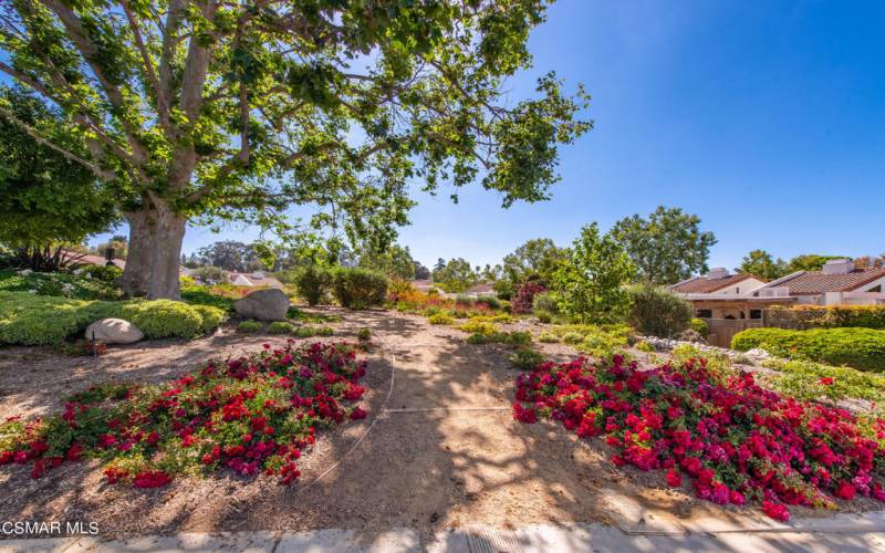 609 Hollyburne Ln Thousand Oaks-40