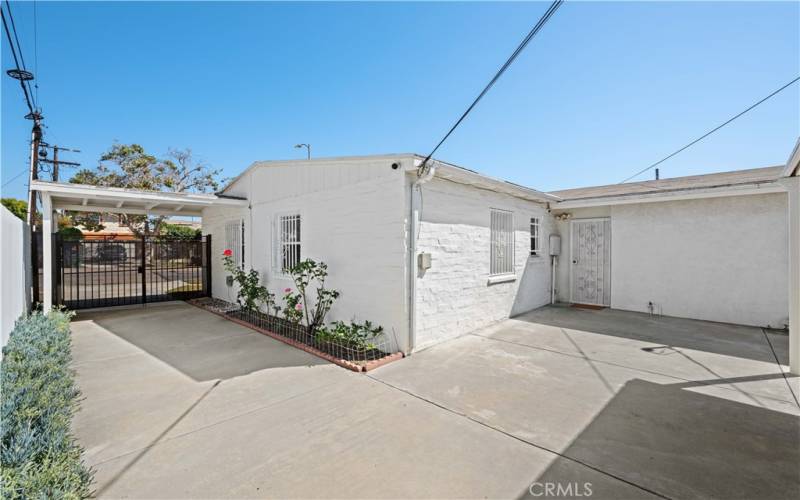 Backyard and Backdoor Entrance