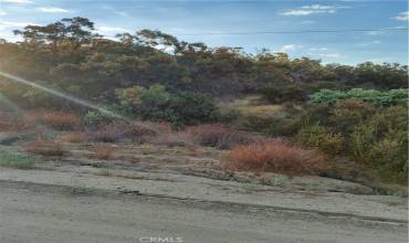 796 Rocky Canyon Way, Aguanga, California 92536, ,Land,Buy,796 Rocky Canyon Way,IV24186154