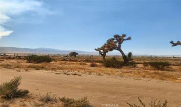 1590 Saratoga Road, Pinon Hills, California 92372, ,Land,Buy,1590 Saratoga Road,IV24187948