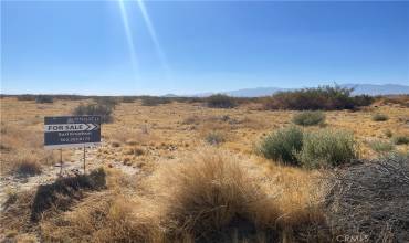 177 E L-8 Avenue, Lancaster, California 93535, ,Land,Buy,177 E L-8 Avenue,WS24188350