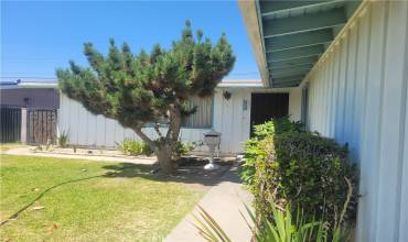 Front Door Walkway