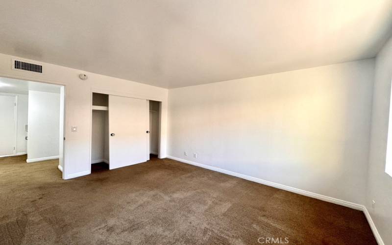 One of the large guest bedrooms, with plenty of closet space.