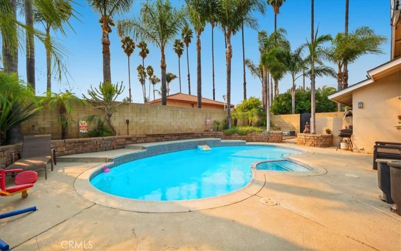 Spacious Backyard with pool & spa