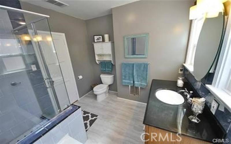 Remodeled bath walk-in separate shower