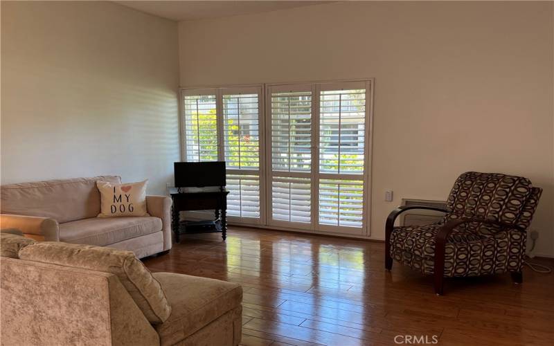 Large Living Room