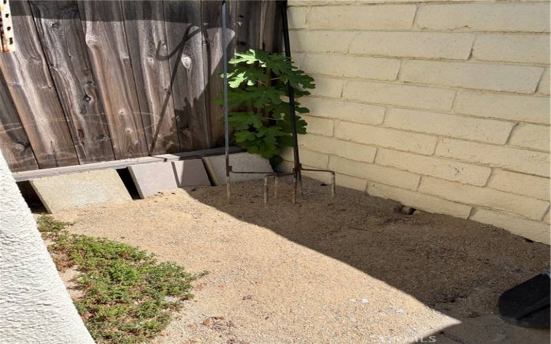 Small Planting Area behing it's own gate off the Patio