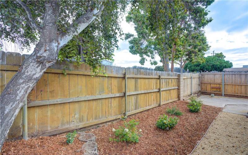 Backyard + Patio Area