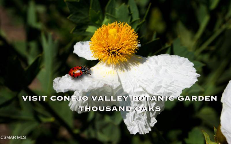 thousand oaks botanic garden