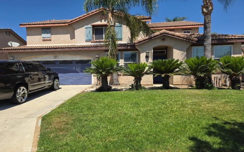 Front yard lined with palm trees