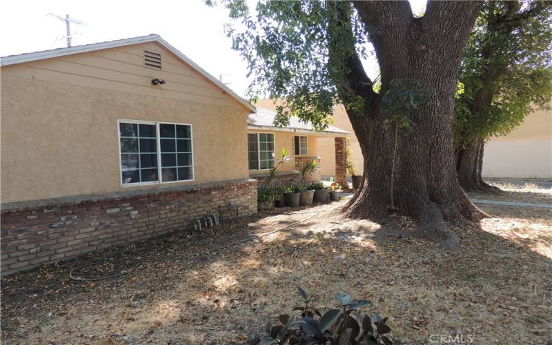 Front of Home, Mature Trees