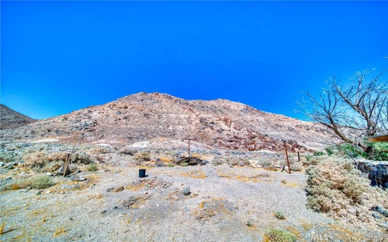 View to the hill next to the backyard