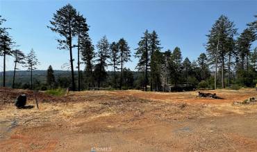 1421 Coldren Road, Paradise, California 95969, ,Land,Buy,1421 Coldren Road,SN24189406