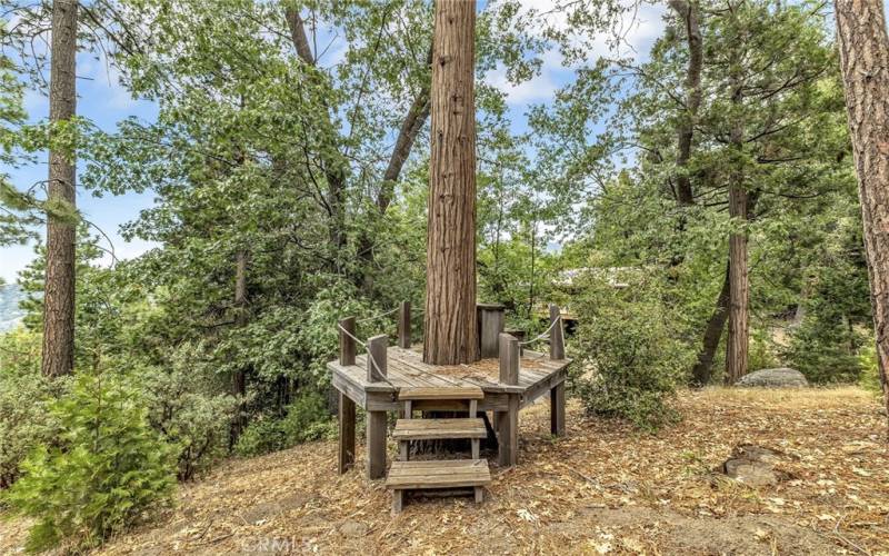 Zip line in yard.