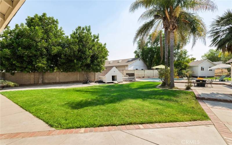 Plenty of flat grass area in the backyard.