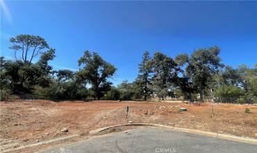 125 Magnolia Drive, Paradise, California 95969, ,Land,Buy,125 Magnolia Drive,SN24188798