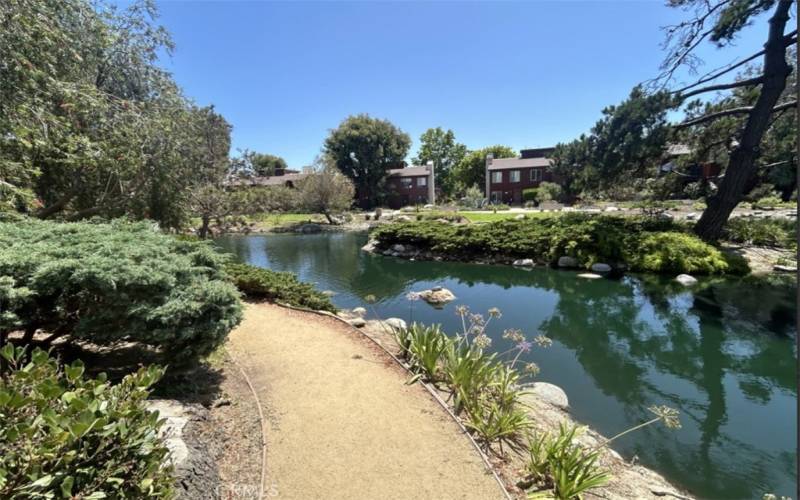 Scenic Path Along Lakeside