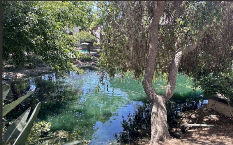 View of Pond with Pool in the distance