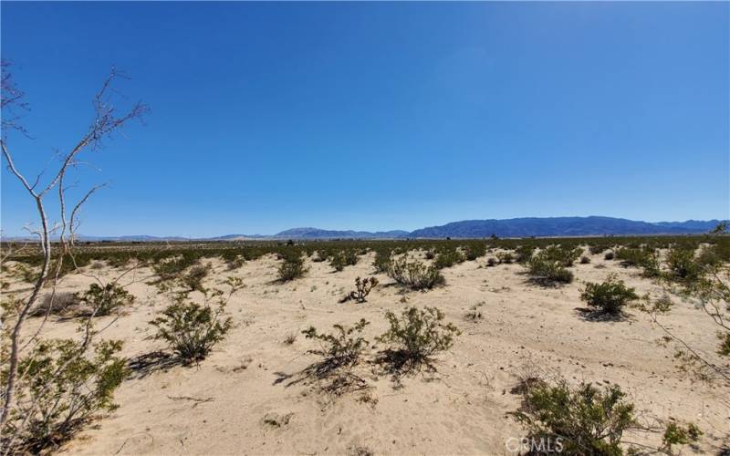 Looking southeast at the mountains in the national park.