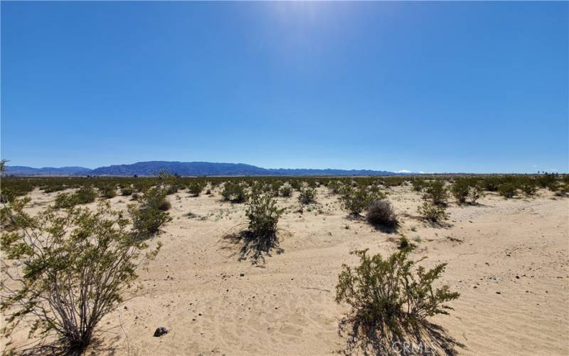 Looking south into the Joshua Tree National Park from the east corner of the parcel.