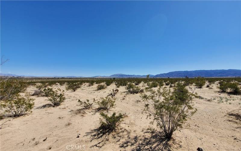 Looking southeast from the eastside of the parcel. Joshua Tree National Part on the right.