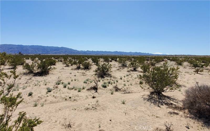 Southwest view into the Joshua Tree National Park.