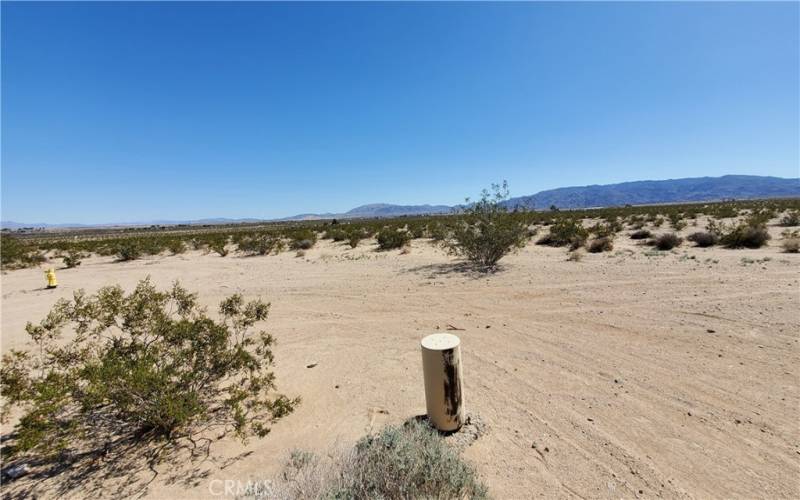 Fire hydrant on the left and I believe the water source for the parcel in the middle of the pic.