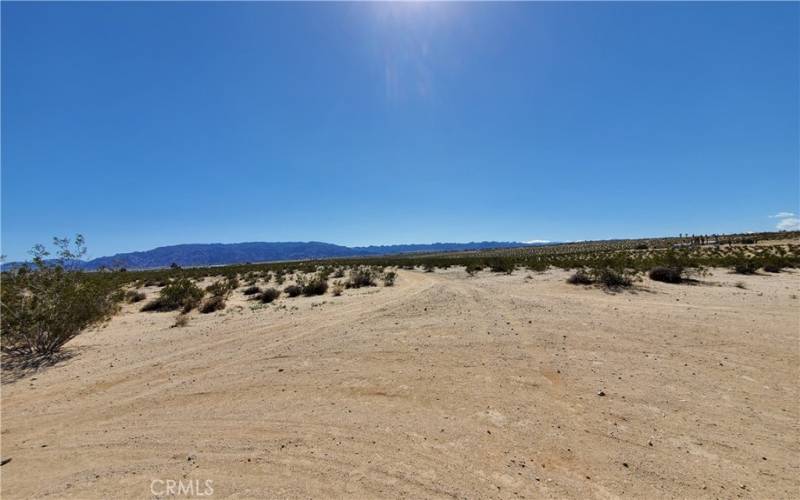 Looking south across the parcel from mid-way down the parcel. A little trail runs down the middle of the parcel.