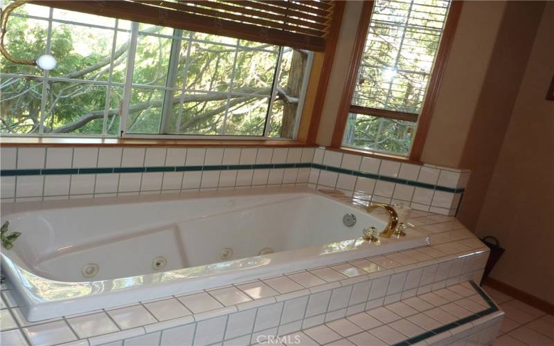 There are lots of windows to bring in light as you're soaking away in the master tub.