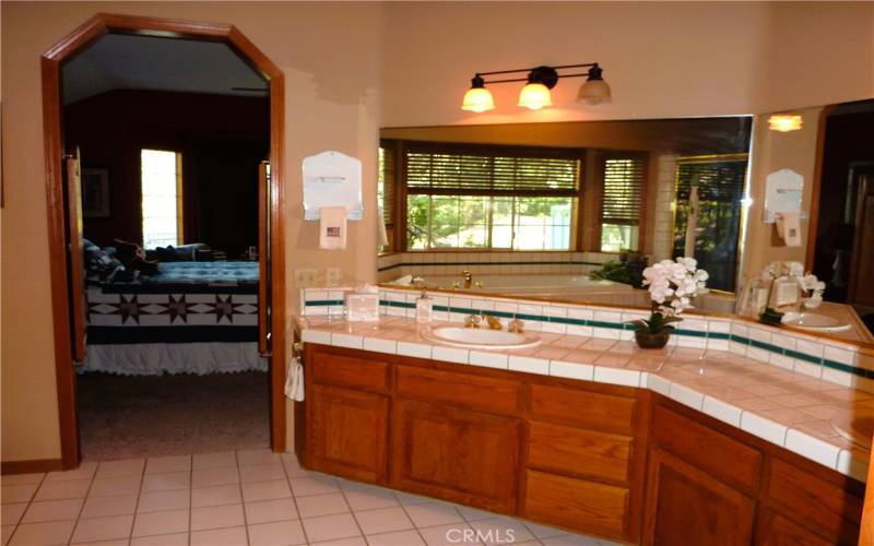 The master bathroom is located just off the master bedroom.