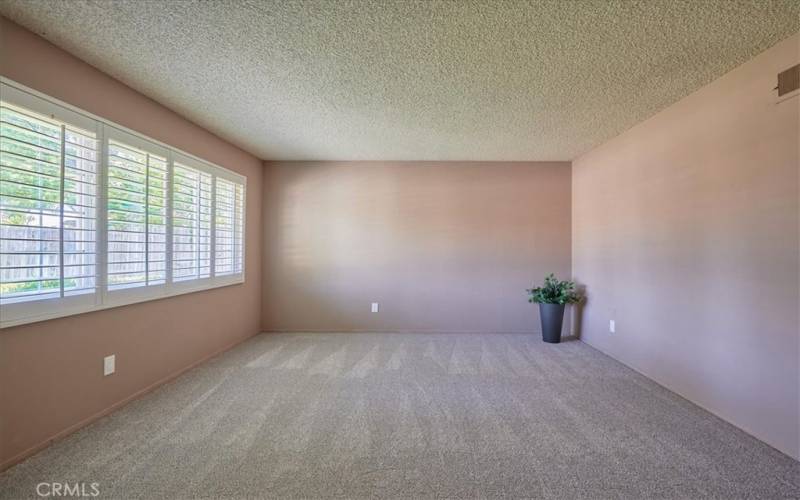 Living room, new carpet